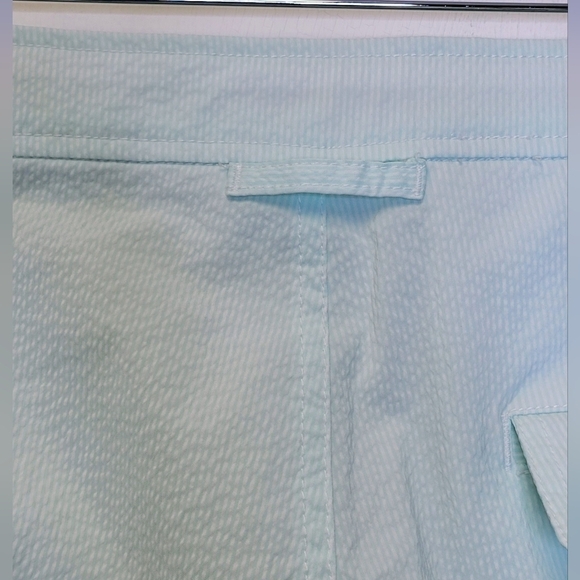 Onia Calder 7.5" Lined Swim Shorts In Mint and White Stripe  Size 34 - Picture 10 of 12